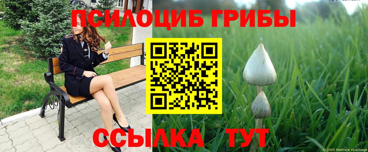 Псилоцибиновые грибы Psilocybine cubensis Сочи