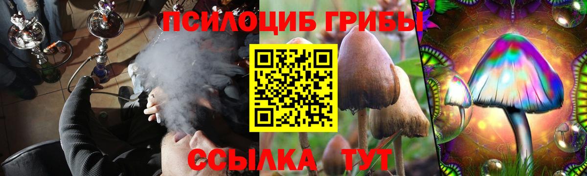 купить   Вход с VPN  Сочи  Галлюциногенные грибы Magic Shrooms 